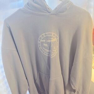 Baby blue brandy Melville hoodie